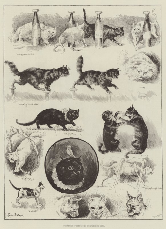 Les chats performants du professeur Fredericks - Louis Wain