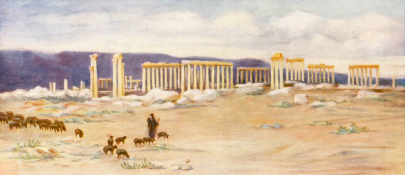 Vue générale de la colonnade, Palmyre - Margaret Thomas