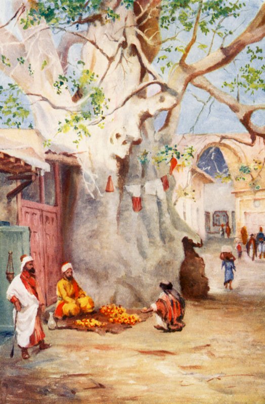 Grand plantain dans le bazar, Damas - Margaret Thomas