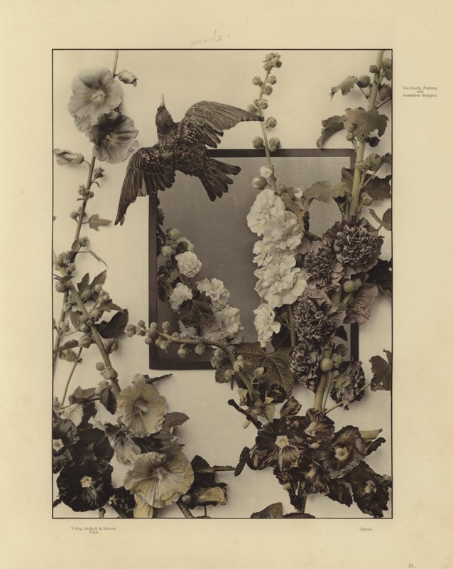 Un des Festons und Decorative Gruppen de Martin Gerlach - Martin senior Gerlach