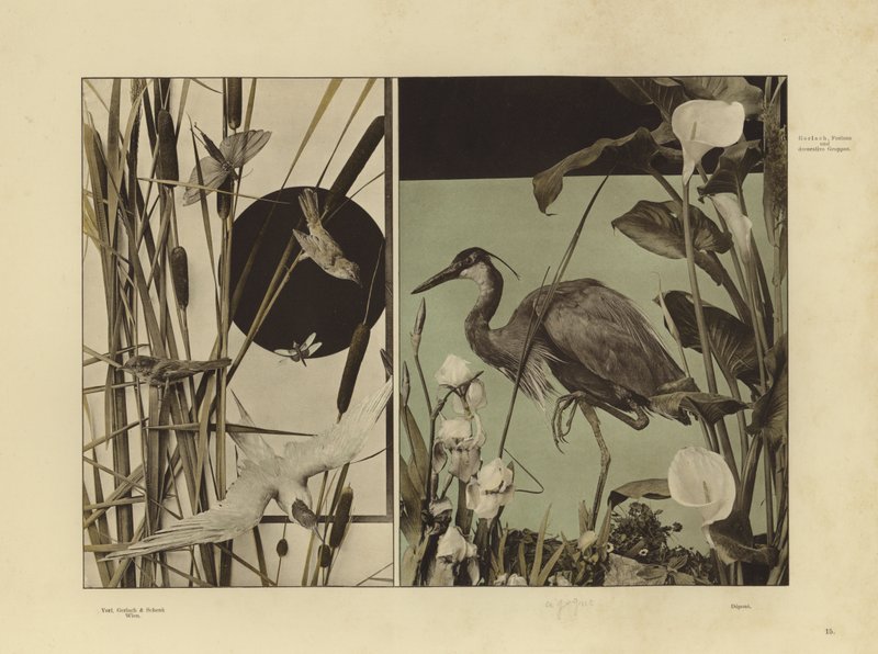 Un des Festons und Decorative Gruppen de Martin Gerlach - Martin senior Gerlach