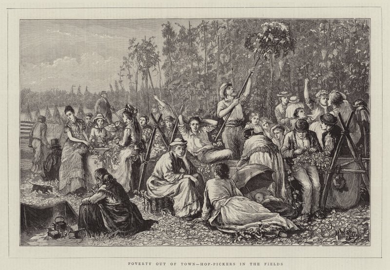 Pauvreté hors de la ville, cueilleurs de houblon dans les champs - Matthew White Ridley