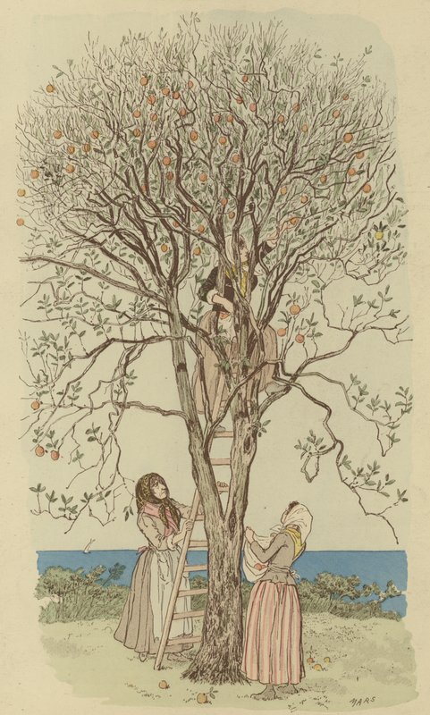 Cueillir des oranges sur la Méditerranée - Maurice Charles Mathieu Bonvoisin
