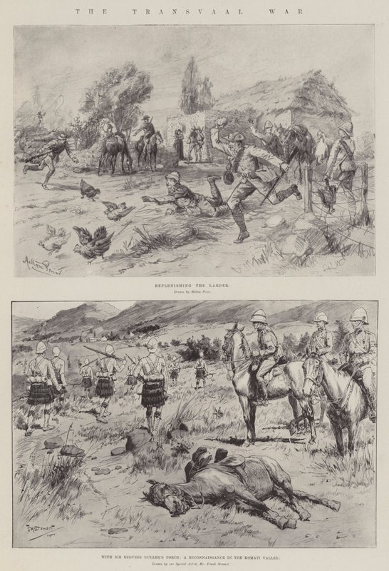 La Guerre du Transvaal - Melton Prior