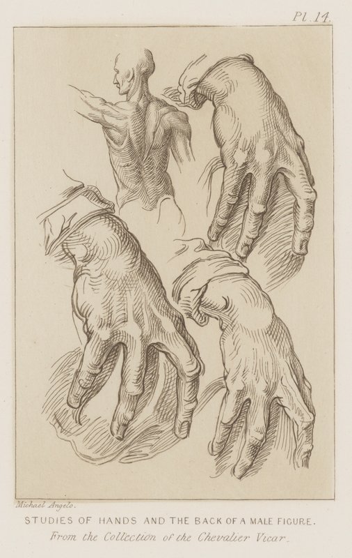 Études de mains et du dos d
