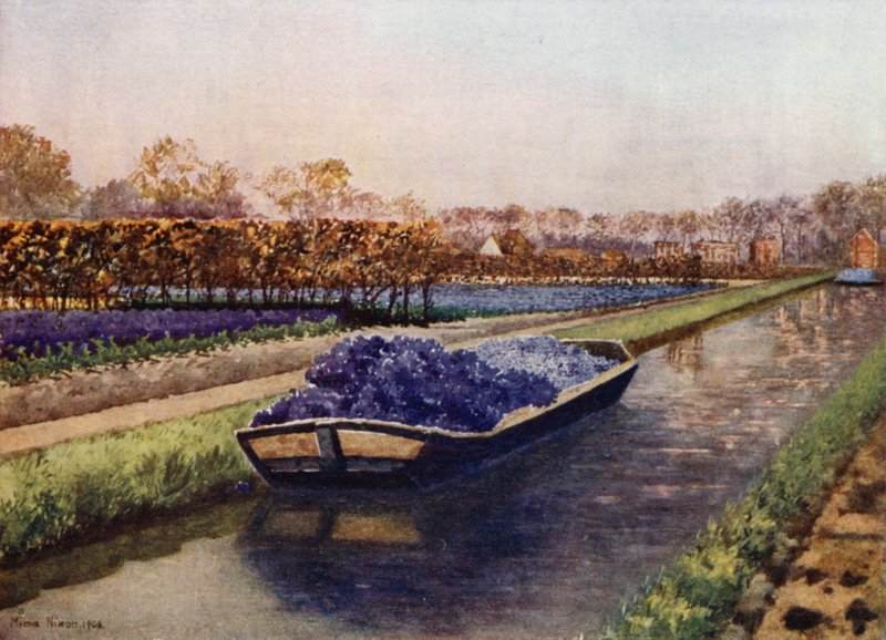 Un Bateau de Parfum - Mima Nixon