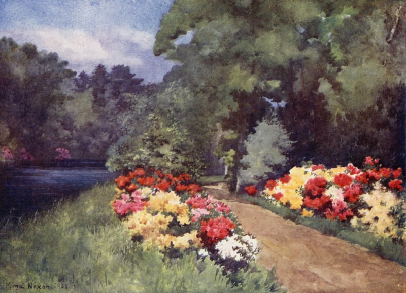 Azalées, Het Loo - Mima Nixon