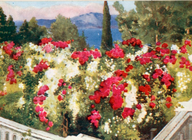 La Pergola des Roses, l