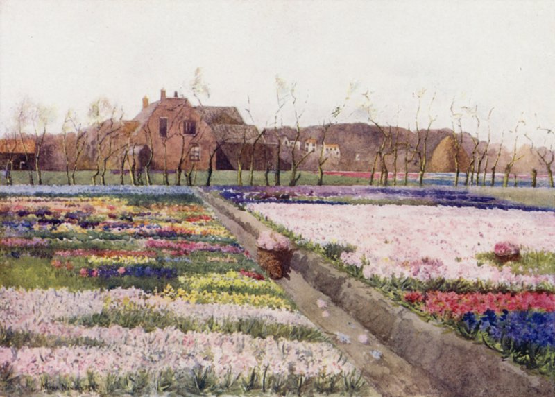 "Quand le printemps libère les fleurs pour peindre le sol riant" - Mima Nixon