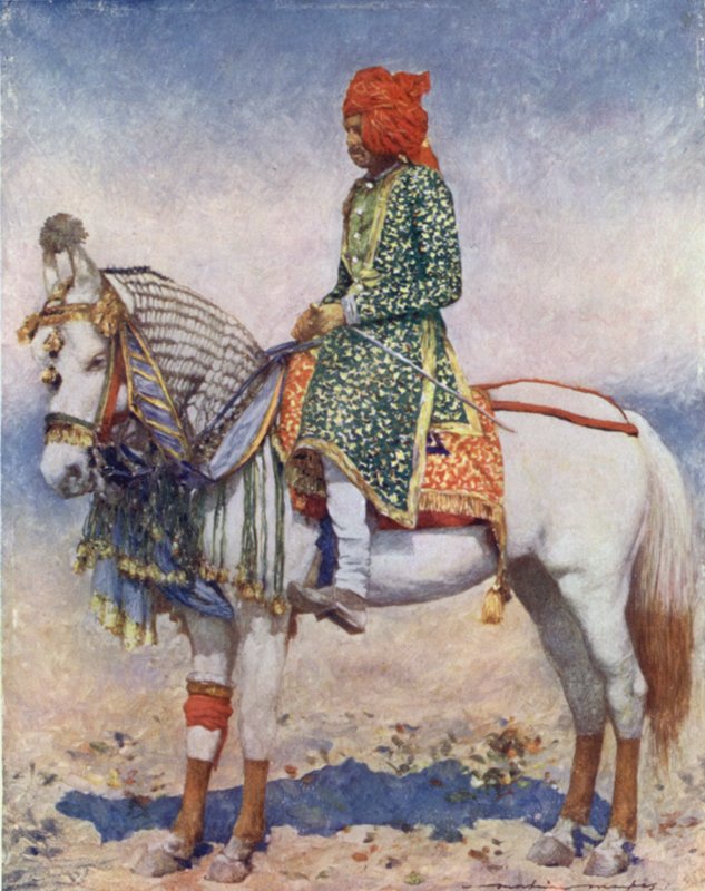 Un cheval de spectacle de l
