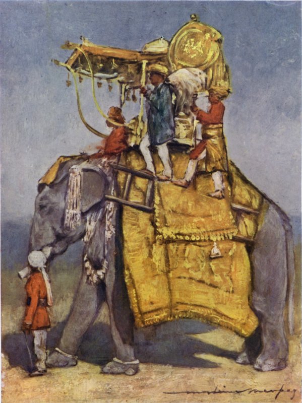 Un éléphant d
