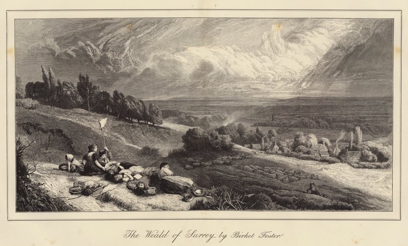 Le Weald du Surrey - Myles Birket Foster