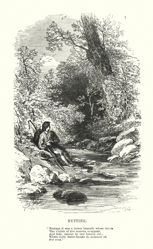 William Wordsworth : Nutting - Myles Birket (after) Foster