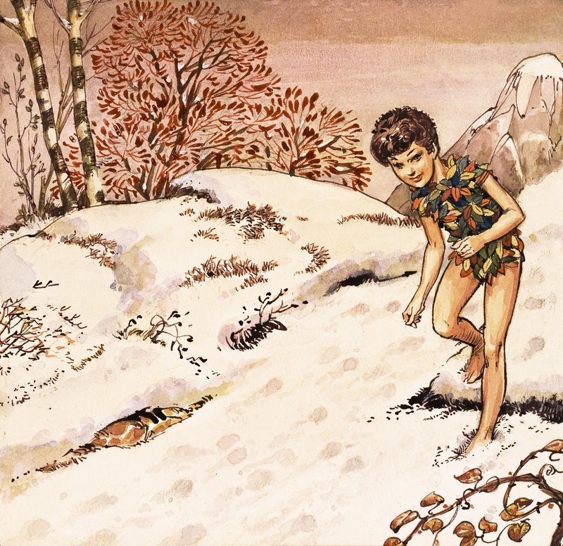 Peter Pan - Nadir Quinto