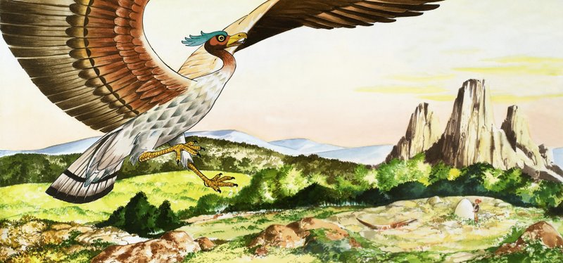 Sinbad le marin - Nadir Quinto