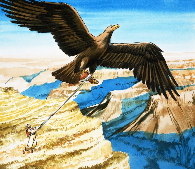 Sinbad le marin - Nadir Quinto