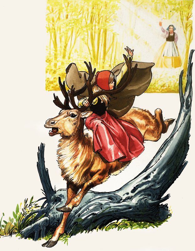 Contes de plusieurs pays : La Reine des Neiges - Nadir Quinto