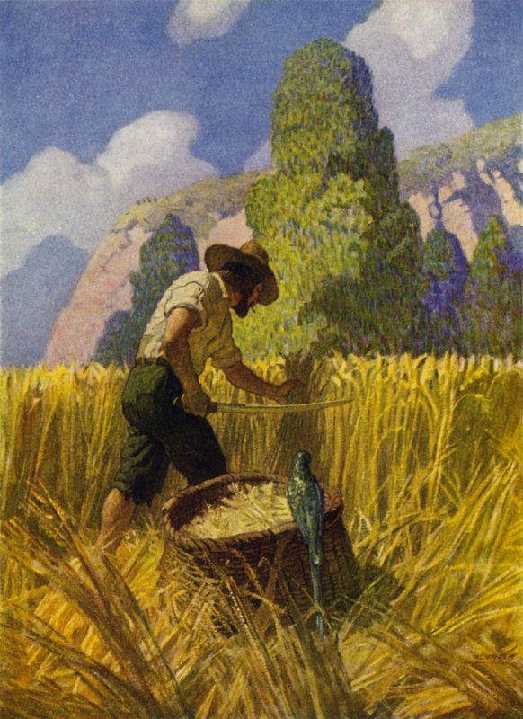 Illustration pour Robinson Crusoé - Newell Convers (after) Wyeth