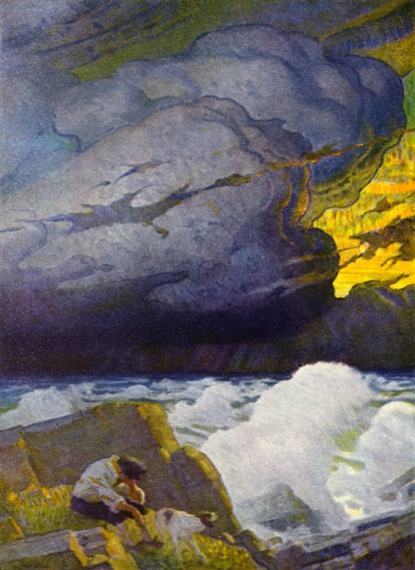 Illustration pour Robinson Crusoé - Newell Convers (after) Wyeth
