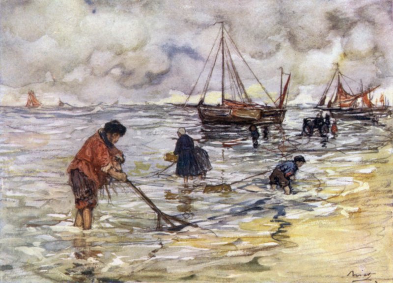 Pêche à la crevette - Nico Jungman