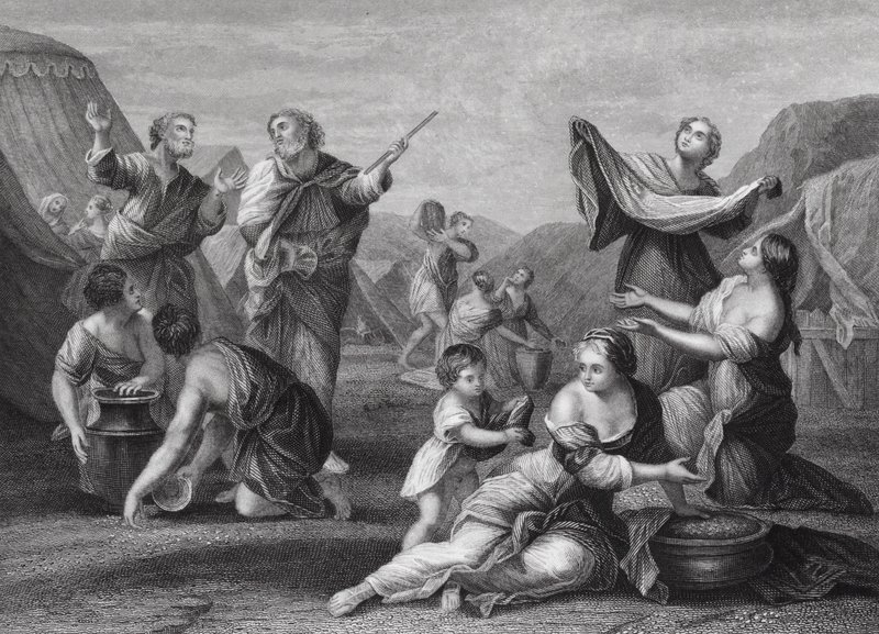 La Chute de la manne, Exode, Ch 16, vs 14, 24 (gravure) - Nicolas (after) Poussin