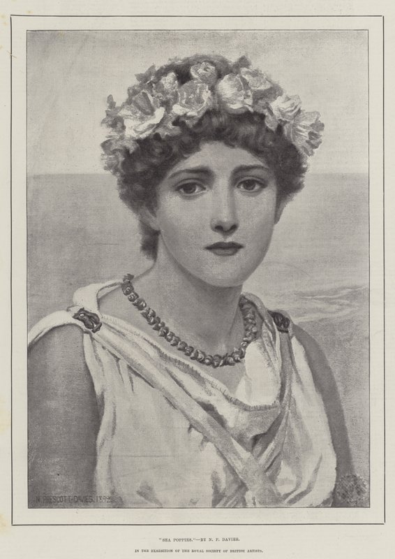 Pavots de mer - Norman Prescott Davies
