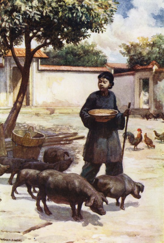 Chine : Une cour - Norman Hardy