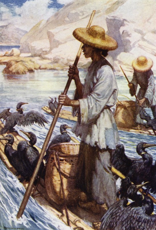 Chine : Pêche avec des cormorans - Norman Hardy