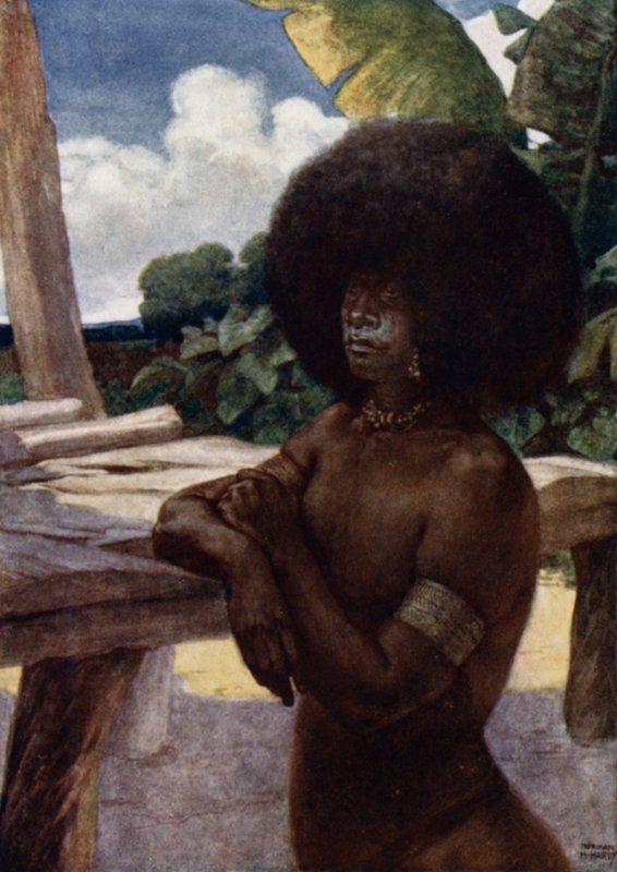Autochtone de Nouvelle-Guinée britannique, montrant la manière de porter les cheveux - Norman Hardy