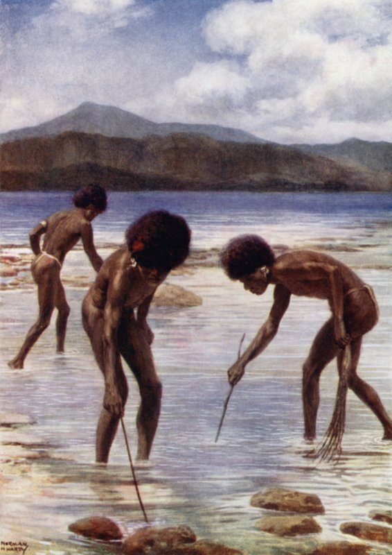 Recherche de petits poulpes sur le récif à marée basse, Samari, Nouvelle-Guinée britannique - Norman Hardy