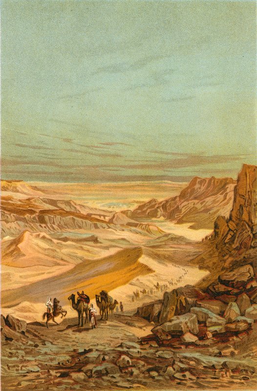Terre des Sémites - North American