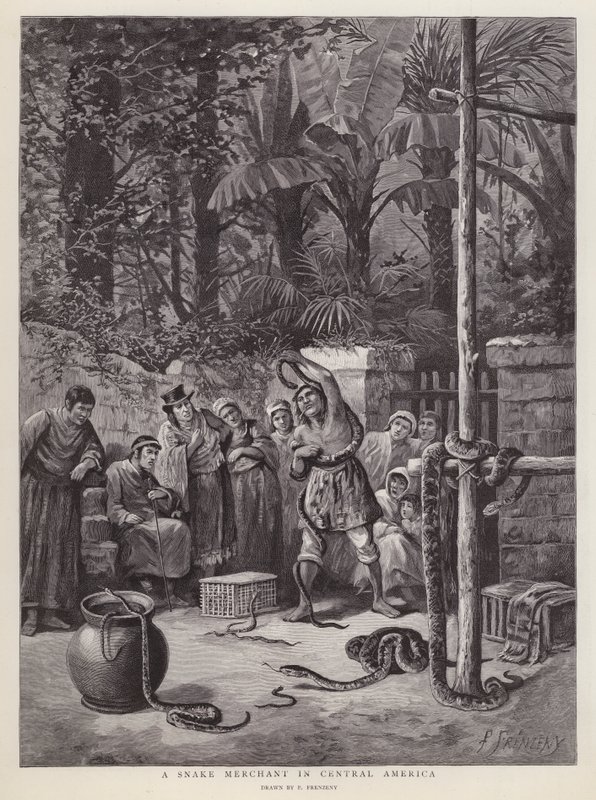 Marchand de serpents en Amérique centrale - Paul Frenzeny