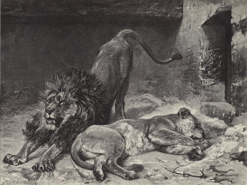 Le Réveil du lion - Paul Friedrich Meyerheim