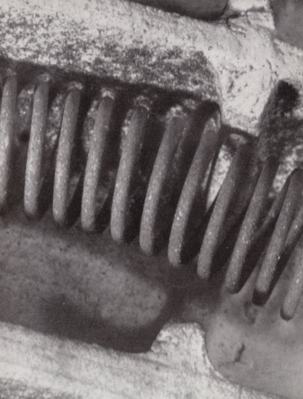 Filament d