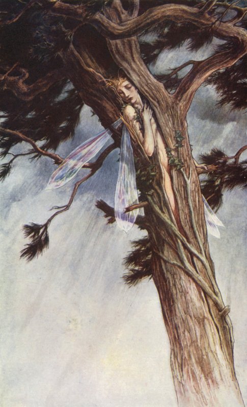 La Tempête de William Shakespeare, Acte I, Scène 2 - Paul Vincent Woodroffe