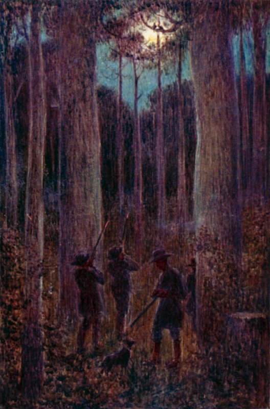 La forêt australienne la nuit, opossums "mooning" - Percy F.S. (after) Spence