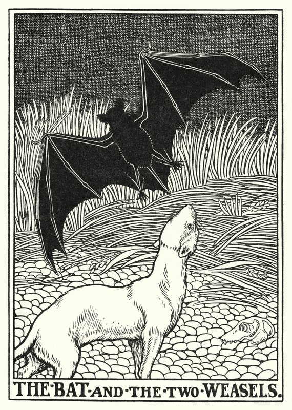 Fables de La Fontaine : La chauve-souris et les deux belettes (lithographie) - Percy James Billinghurst