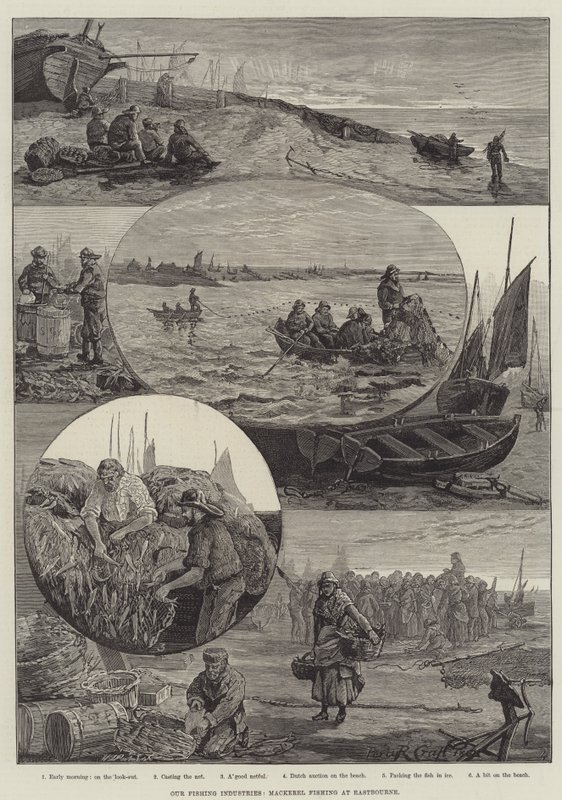 Nos industries de pêche, pêche au maquereau à Eastbourne (gravure) - Percy Robert Craft