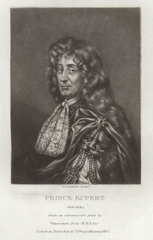 Prince Rupert - Peter Lely