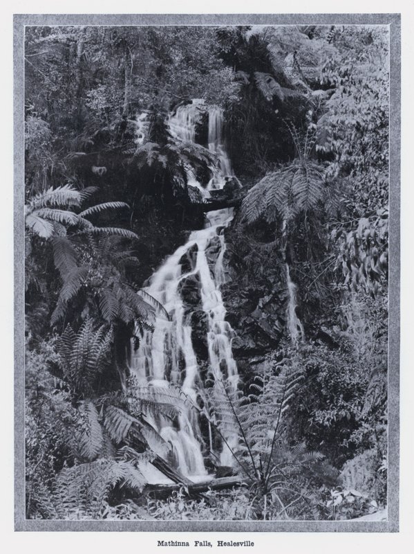 Chutes de Mathinna, Healesville - Photographer Australian