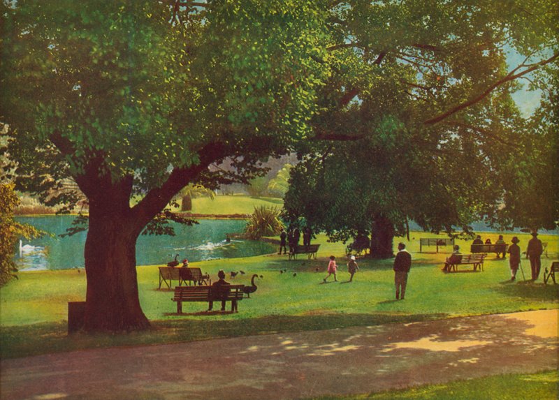 Jardins botaniques, Melbourne (photo couleur) - Photographer Australian