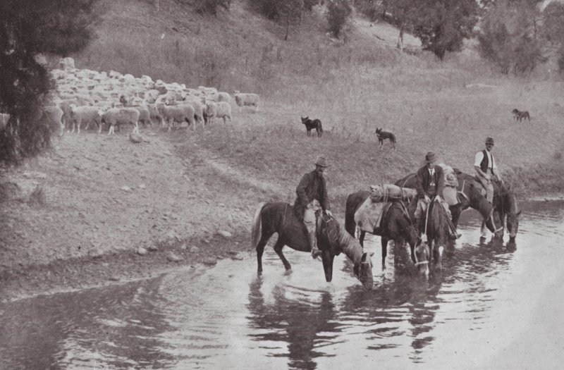 Le Repos, stockmen australiens typiques - Photographer Australian