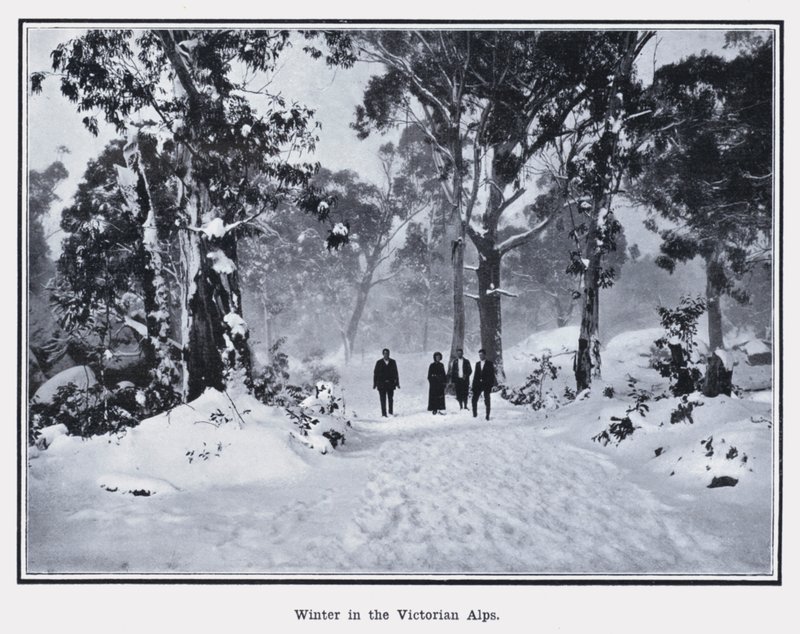 Hiver dans les Alpes victoriennes - Photographer Australian