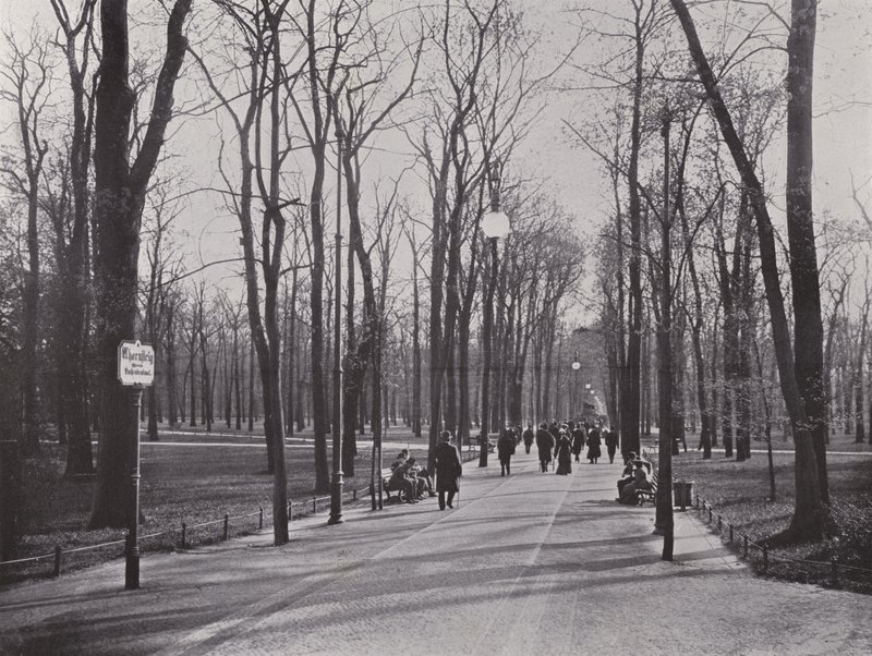 Dans le Tiergarten, Ahornsteig - Photographer German