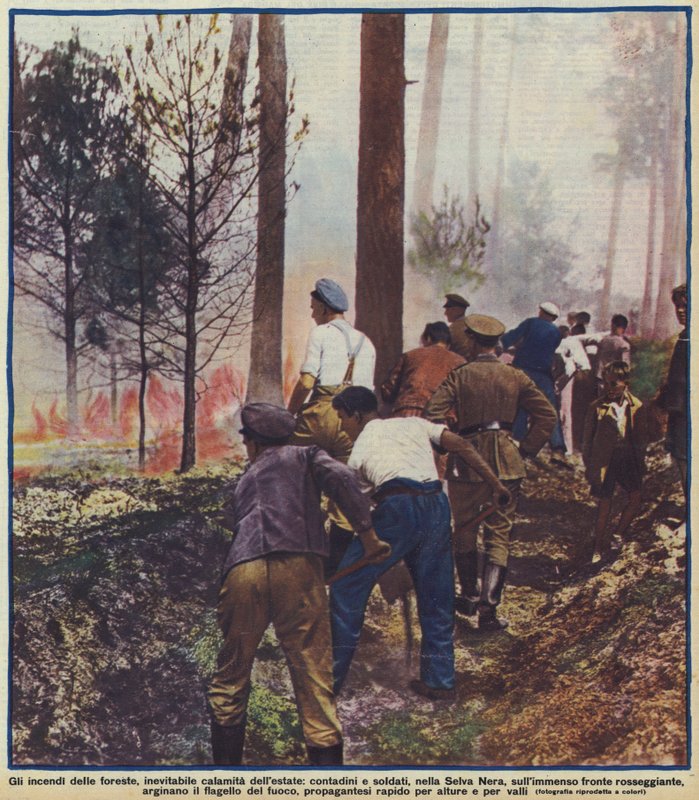 Paysans et soldats combattant un incendie de forêt dans la Forêt-Noire, Allemagne - Photographer German