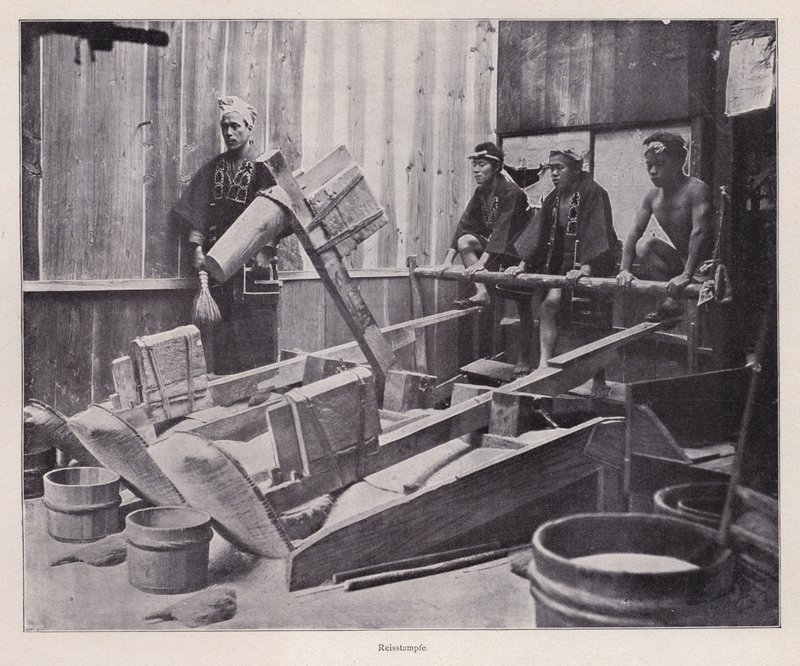 Décorticage du riz ou fabrication de farine de riz à l