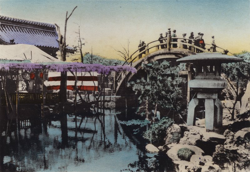 Japon, vers 1912 : Terrain du temple Kameido, célèbre pour la floraison des glycines en mai et le pont tambour - Photographer Japanese