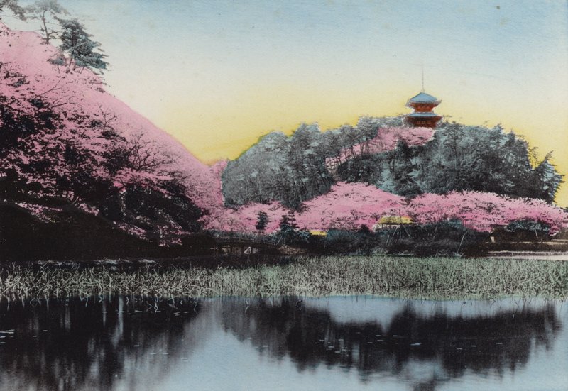 Japon, c.1912 : Sankeiyen, jardin privé de M. Hara, Honmoku, Yokohama - Photographer Japanese