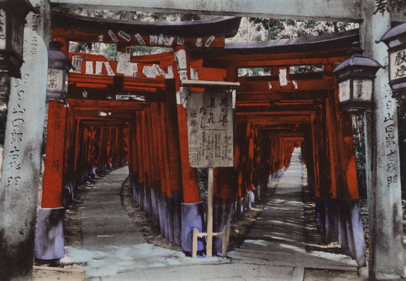 Japon, vers 1912 : Avenues de Torii, Sanctuaire de Fushimi près de Kyoto (photo) - Photographer Japanese