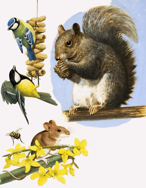 Des petits animaux très actifs, dont la mésange bleue, la mésange charbonnière, le bourdon, le mulot et l
